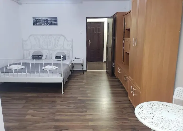 Studio Ris Harmanului Brasov Centrul Nou