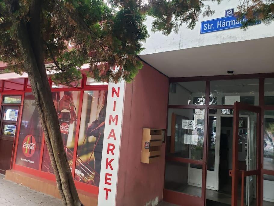 Studio Ris Harmanului Centrul Nou Apartment